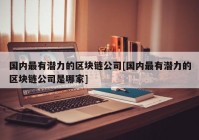 国内最有潜力的区块链公司[国内最有潜力的区块链公司是哪家]