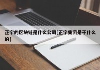 正宇的区块链是什么公司[正宇集团是干什么的]